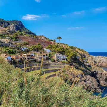 img Descoperirea unor monede romane antice pe o insulă din Italia