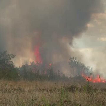 Incendii uriașe fac ravagii în Mehedinți