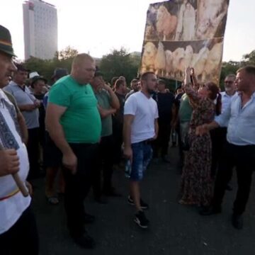 img Ciobanii, nemulțumiți de măsurile dure împotriva pestei: „E bătaie de joc asupra fermierului!”