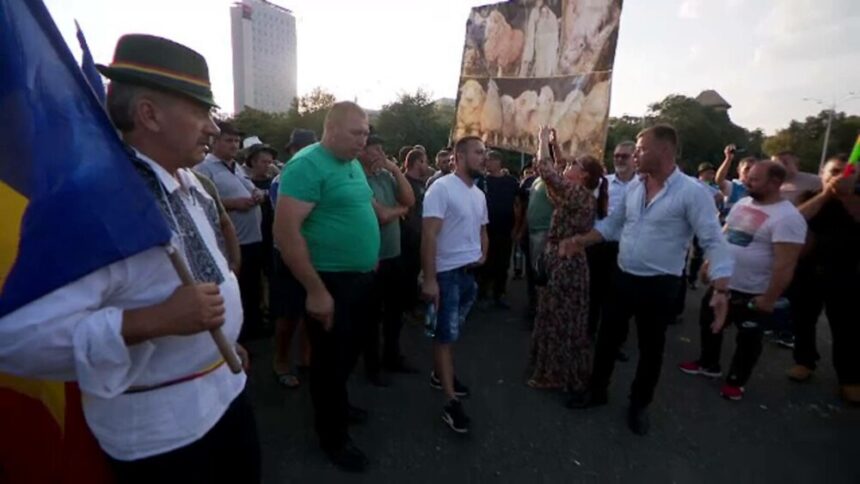 img Ciobanii, nemulțumiți de măsurile dure împotriva pestei: „E bătaie de joc asupra fermierului!”