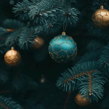 img De ce vedetele cumpără brazi artificiali 3D încă din timpul verii