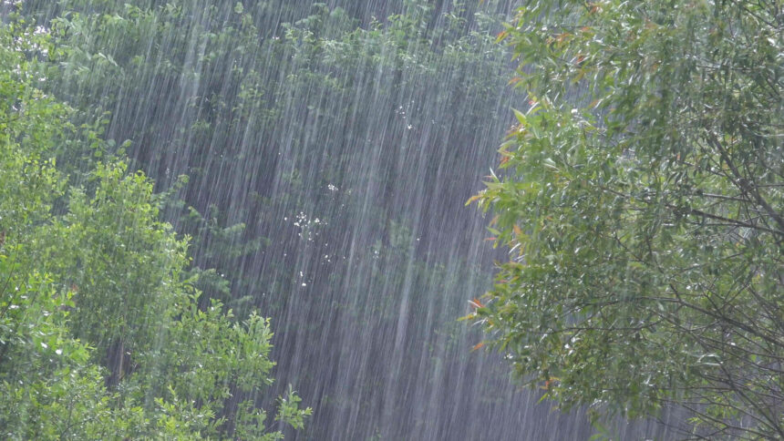 img Coduri meteo și avertizări de vreme severă în România