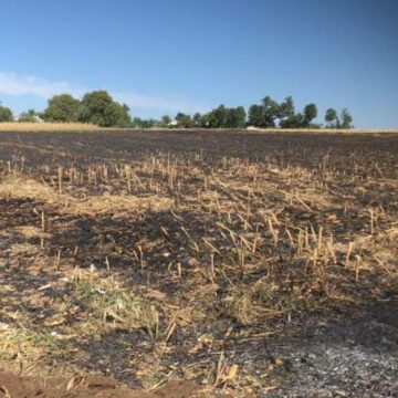 img Incendiu mortal provocat de un bărbat în județul Neamț