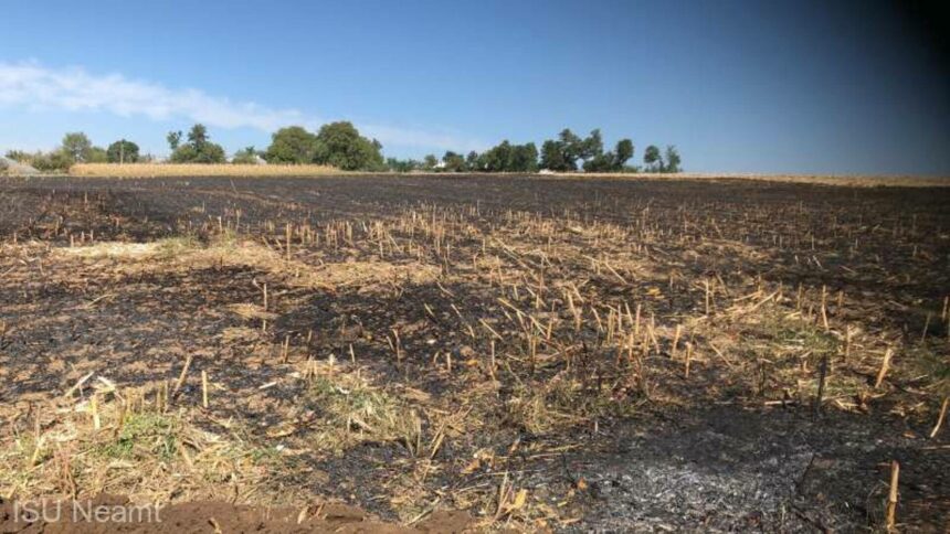 img Incendiu mortal provocat de un bărbat în județul Neamț