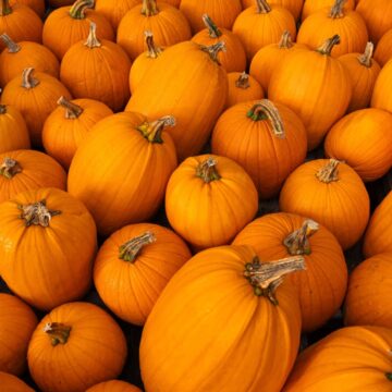 img Beneficiile consumului de dovleac copt pentru sănătate și nutriție