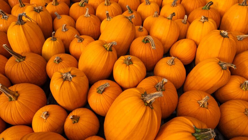 img Beneficiile consumului de dovleac copt pentru sănătate și nutriție