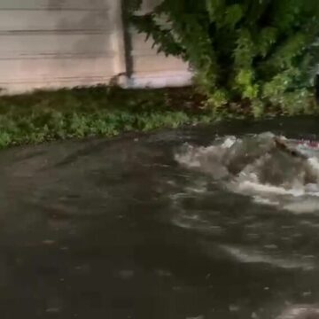 img Furtună în Bucureşti – Mijloace de transport blocate la Podul Grozăveşti