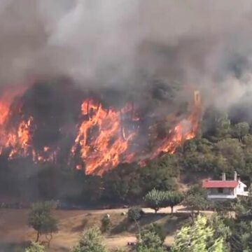 img Incendiile de vegetație – o amenințare constantă pentru România