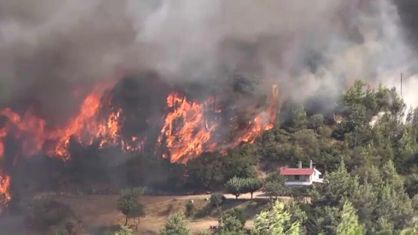 Incendiile de vegetație – o amenințare constantă pentru România