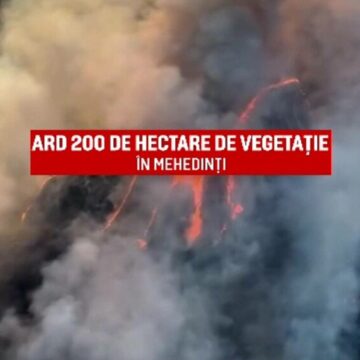 img Lupta cu incendiile de vegetație în România