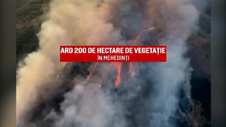 Lupta cu incendiile de vegetație în România