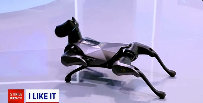 img Animalele de companie din viitor: CyberDog – robotul care stie sa danseze, sa alerge si sa faca tumbe