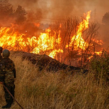 Femeia din Grecia care a dat foc unei păduri pentru a flirta cu pompierii
