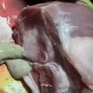 Scandal alimentar la Bistrița: Carne în putrefacție vândută de Kaufland