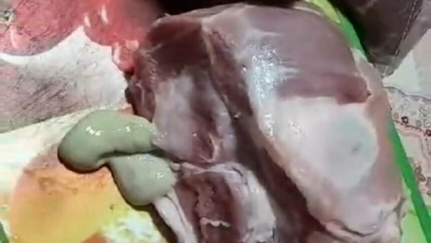 img Scandal alimentar la Bistrița: Carne în putrefacție vândută de Kaufland