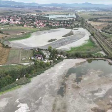 img Seceta afectează Delta din Carpați și pune în pericol specii rare de păsări
