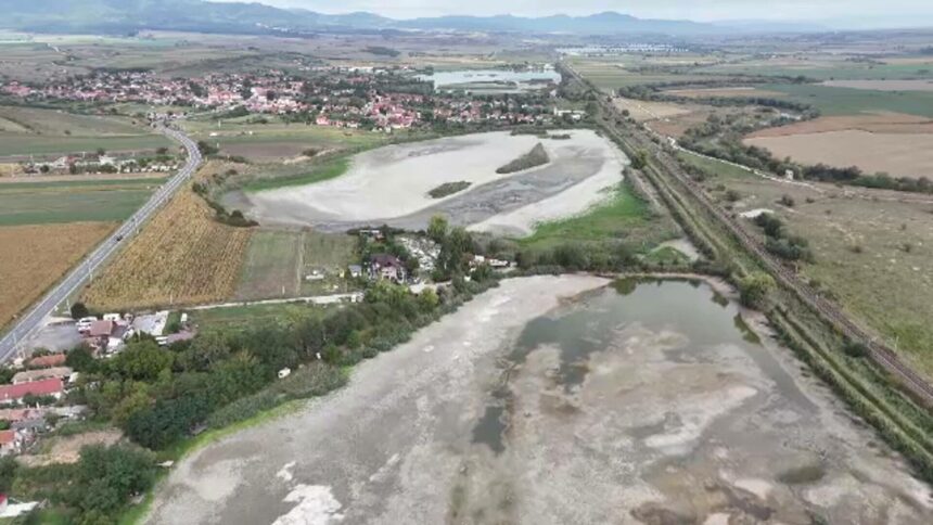 img Seceta afectează Delta din Carpați și pune în pericol specii rare de păsări