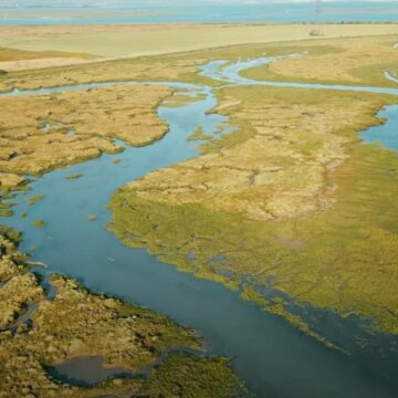 img Insula Mortului din Marea Britanie: O poveste înfricoșătoare plină de istorie și mistere