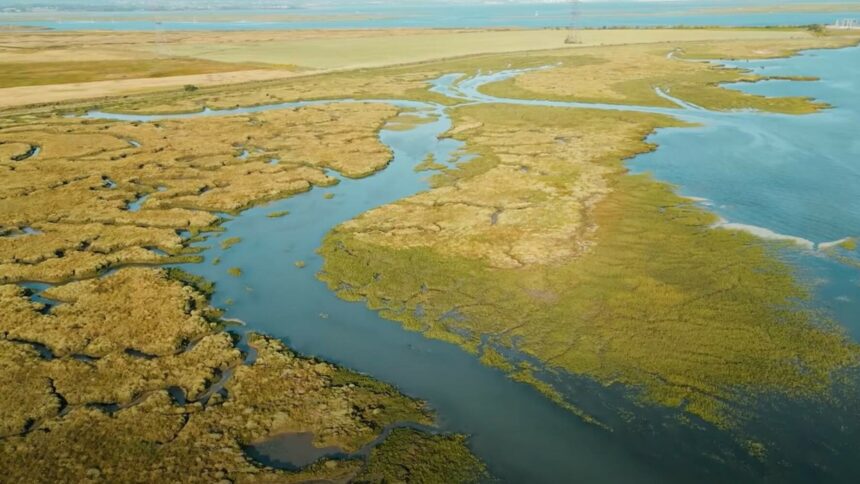 Insula Mortului din Marea Britanie: O poveste înfricoșătoare plină de istorie și mistere