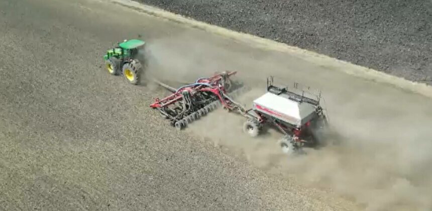 img Seceta amenință viitoarele culturi. Cum pot fi gestionate problemele cauzate de lipsa apei în agricultură