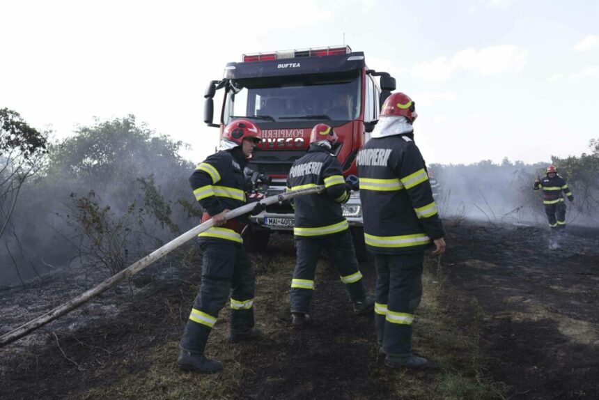 Incendiile de vegetație – Dezastru în întreaga țară