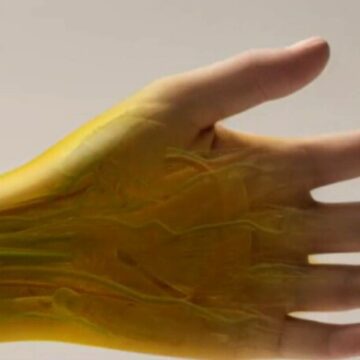 Colorantul alimentar care face pielea transparentă. Organele interne pot deveni vizibile