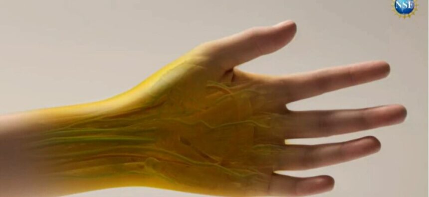 img Colorantul alimentar care face pielea transparentă. Organele interne pot deveni vizibile