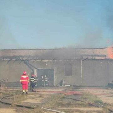 img Incendiu de vegetație amenință trei sate din Maramureș