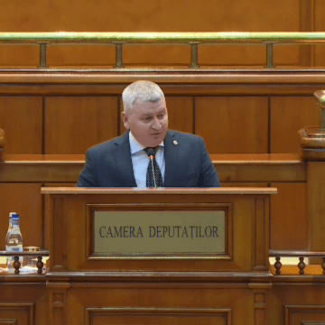 img PNL mărește bonificația pentru bunii-platnici la bugetul de stat