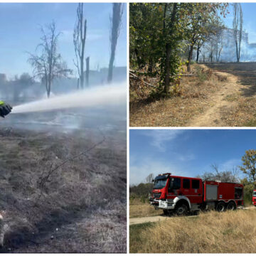 img Incendiu masiv in Parcul IOR din Capitala