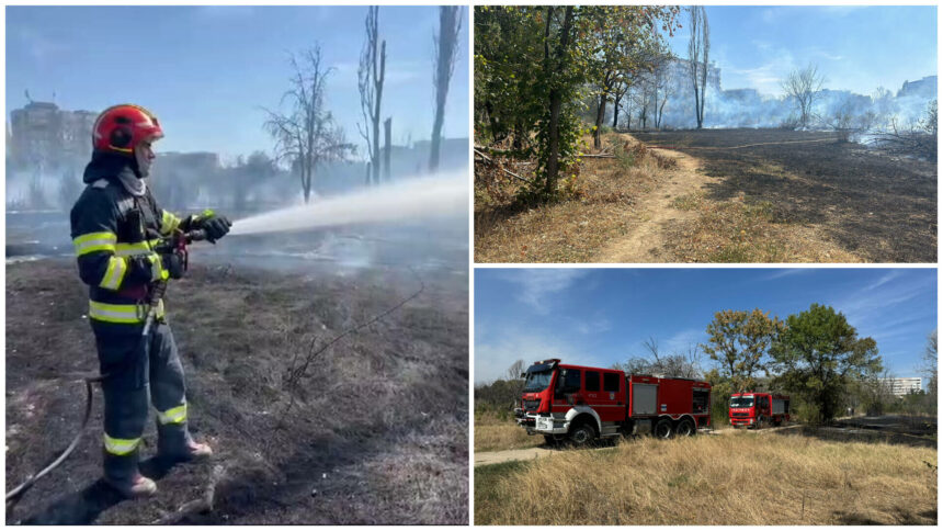 Incendiu masiv in Parcul IOR din Capitala