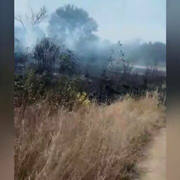 img Incendiu puternic în parcul IOR din București