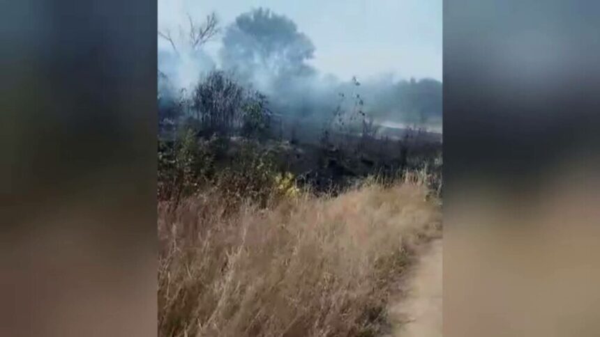 img Incendiu puternic în parcul IOR din București