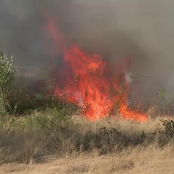 img Incendii de vegetație în România: o situație de coșmar