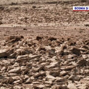 img Seceta afectează Europa: nivelul apei din râuri și lacuri la valori extrem de scăzute