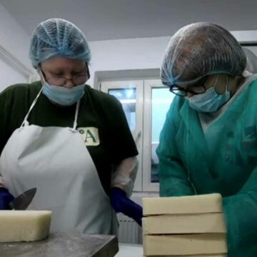 img Directorii unor companii influente se transformă în angajați sub acoperire