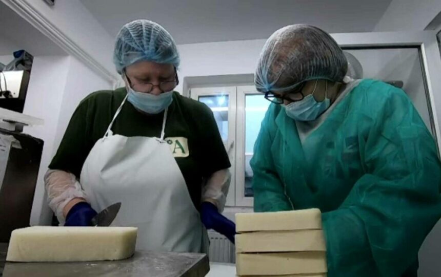 img Directorii unor companii influente se transformă în angajați sub acoperire