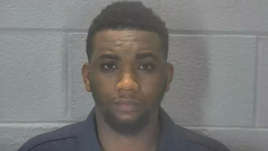 Bebeluș mort găsit într-o găleată: Tatăl acuzat de crimă și asfixiere