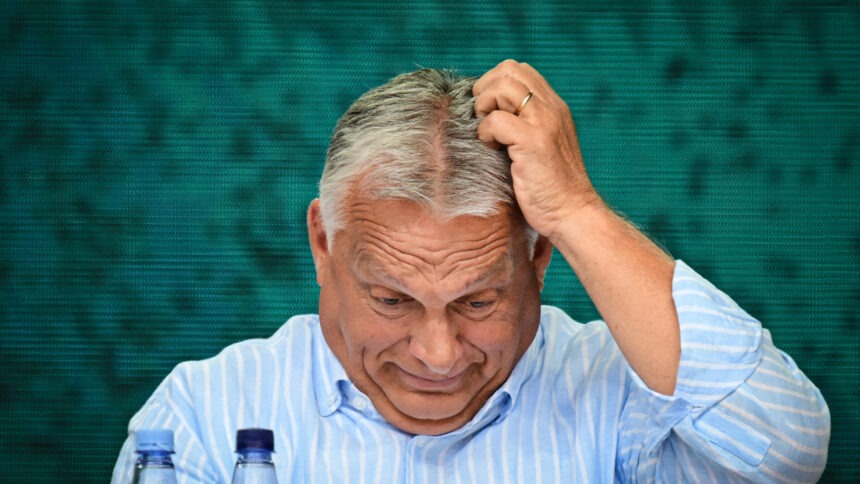 img Incălcarea dreptului european de către Ungaria prin plafonarea prețurilor agricole