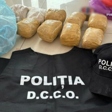 img Distrugerea unei rețele de trafic de droguri formată din români și albanezi