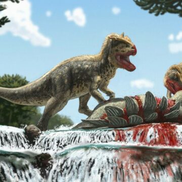 img Descoperirea dinozaurului cu sprâncene în Kârgâzstan