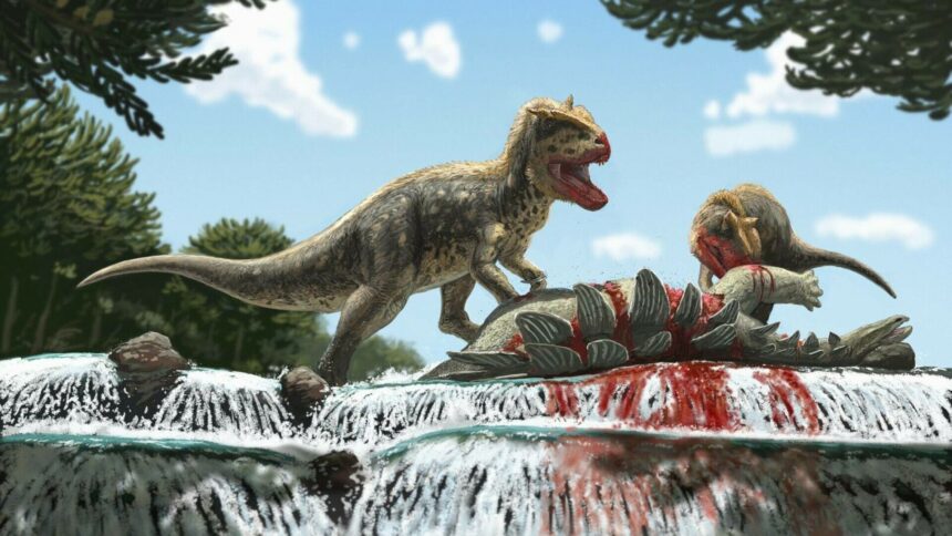 img Descoperirea dinozaurului cu sprâncene în Kârgâzstan