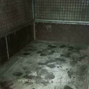 img Șoferul bulgar prins cu 14.800 de țigarete ascunse sub podeaua unei remorci la PTF Giurgiu-Ruse