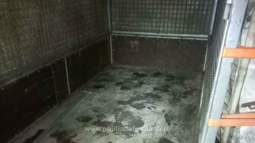 img Șoferul bulgar prins cu 14.800 de țigarete ascunse sub podeaua unei remorci la PTF Giurgiu-Ruse