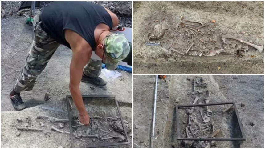 img Descoperirea macabră a rămășițelor unui copil din secolul XIII în Polonia