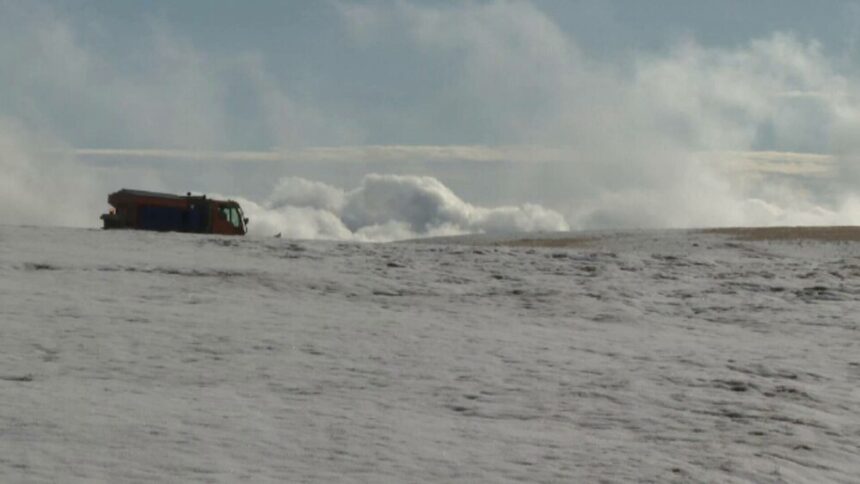 img Refacerea stocului de lemne pentru iarnă: consumul unei gospodării și prețurile actuale