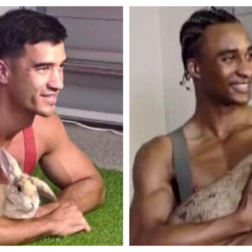 Pompierii australieni pozând la bustul gol cu animale în brațe pentru calendarul din 2025