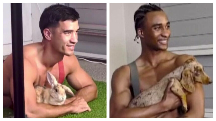 img Pompierii australieni pozând la bustul gol cu animale în brațe pentru calendarul din 2025