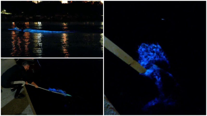 img Fenomenul inedit al apei fosforescente din Marea Neagră