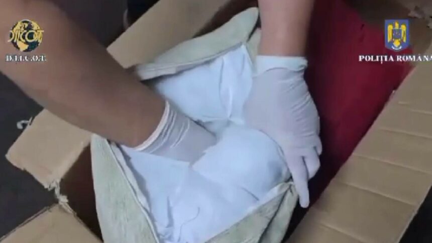 img Descoperire năucitoare: Două perne cu cocaină descoperite într-un colet cu alimente expediat din Spania în România